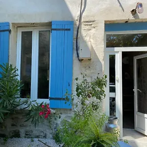 Les Cypres De L'ile France